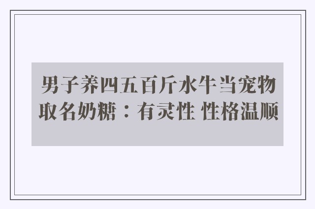 男子养四五百斤水牛当宠物取名奶糖：有灵性 性格温顺